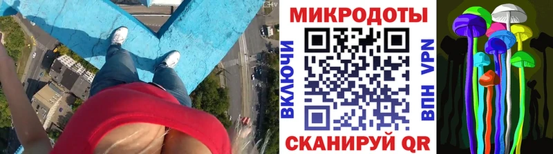 сколько стоит  Терек  мега рабочий сайт  Галлюциногенные грибы MAGIC MUSHROOMS 